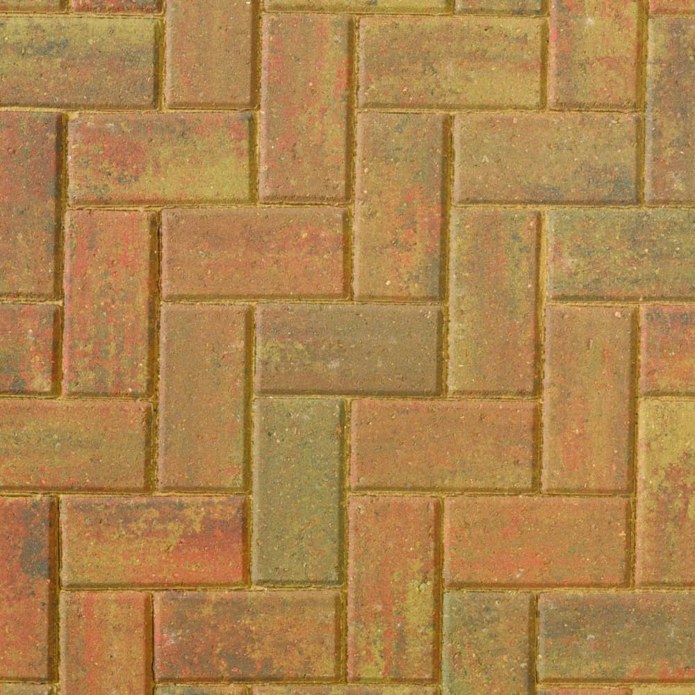 50mm Omega Paver Autumn Gold