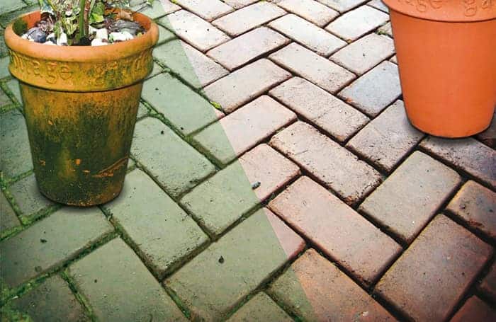 Patio Wizard 5L - Image 2