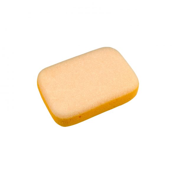 Dual Purpose Sponge (Each)