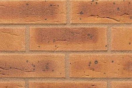 Harvest Buff Multi Brick