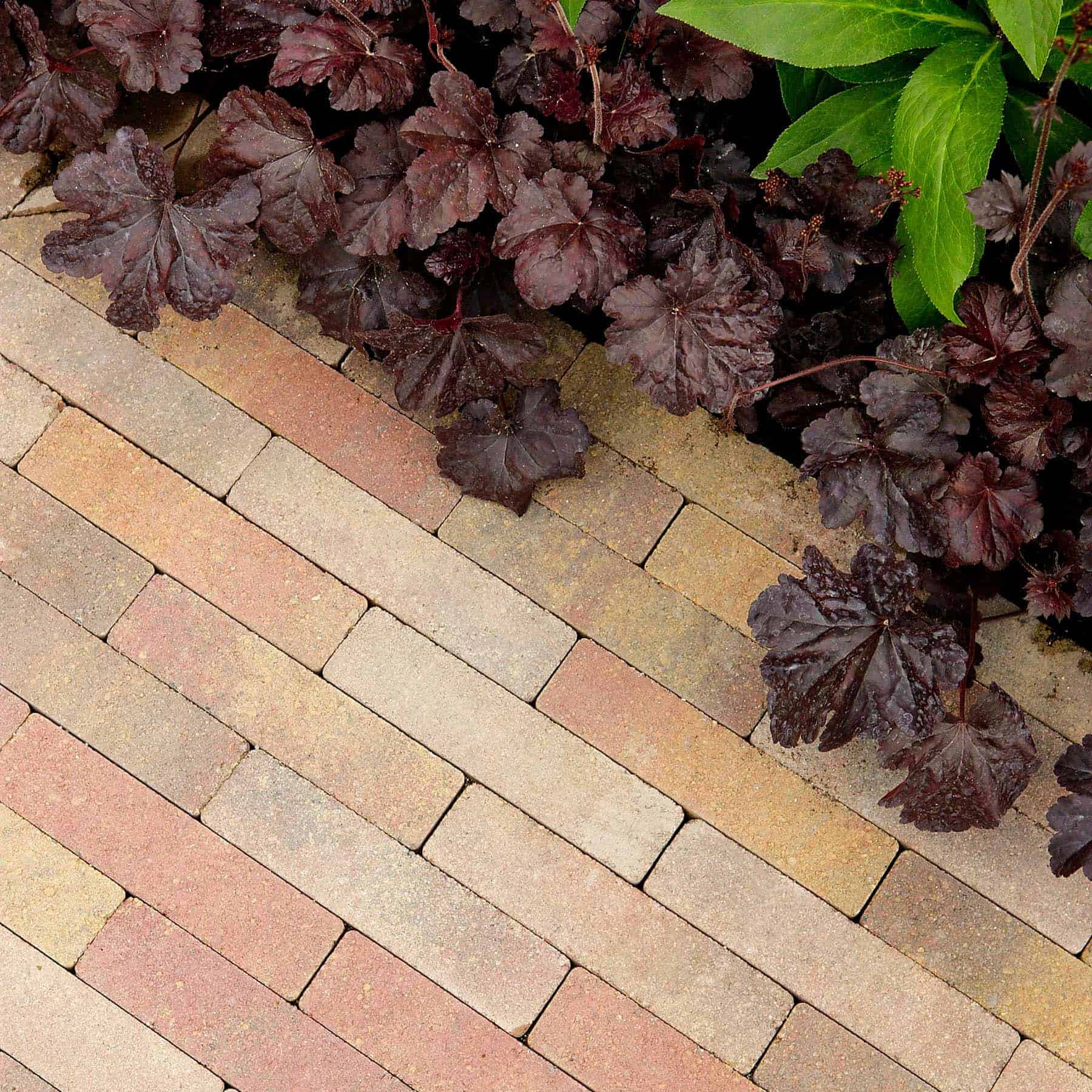 Inish Standard Slimsett Paver Rustic 200 X 60 X 50mm Per Pack - Image 2