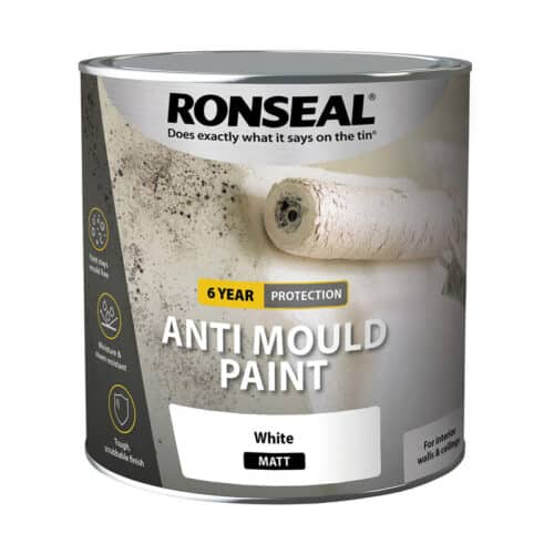 Ronseal Anti Mould Paint White